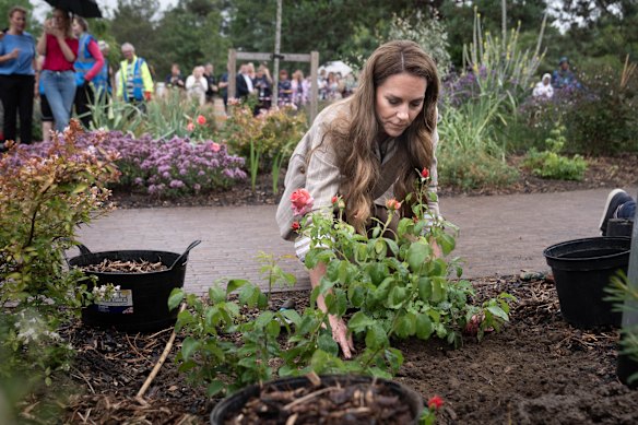 La princesse de Pays de Galles a littéralement mis les mains sales en plantant des roses dans le jardin de bien-être. La visite coïncide avec le don de 50 Roses de Catherine, nommées en son honneur.