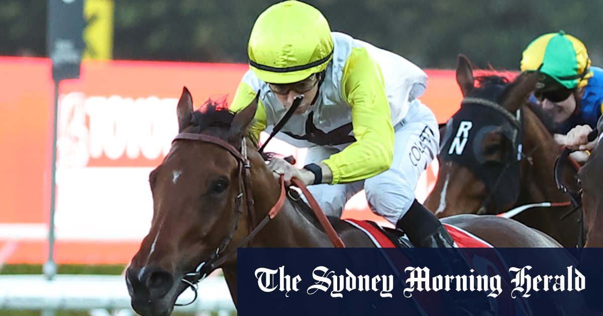 Matt Smith, entraîneur de la ferme de Warwick, pense que les stars s'alignent pour World Alliance à Rosehill samedi