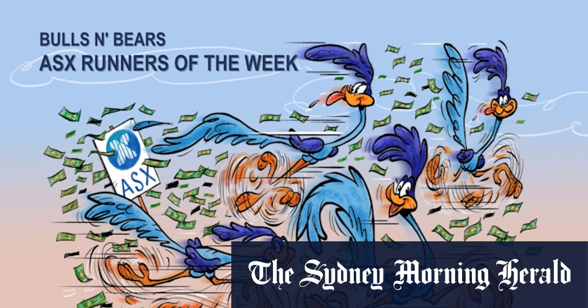 Yandal, Imagin, Falcon & Bayan