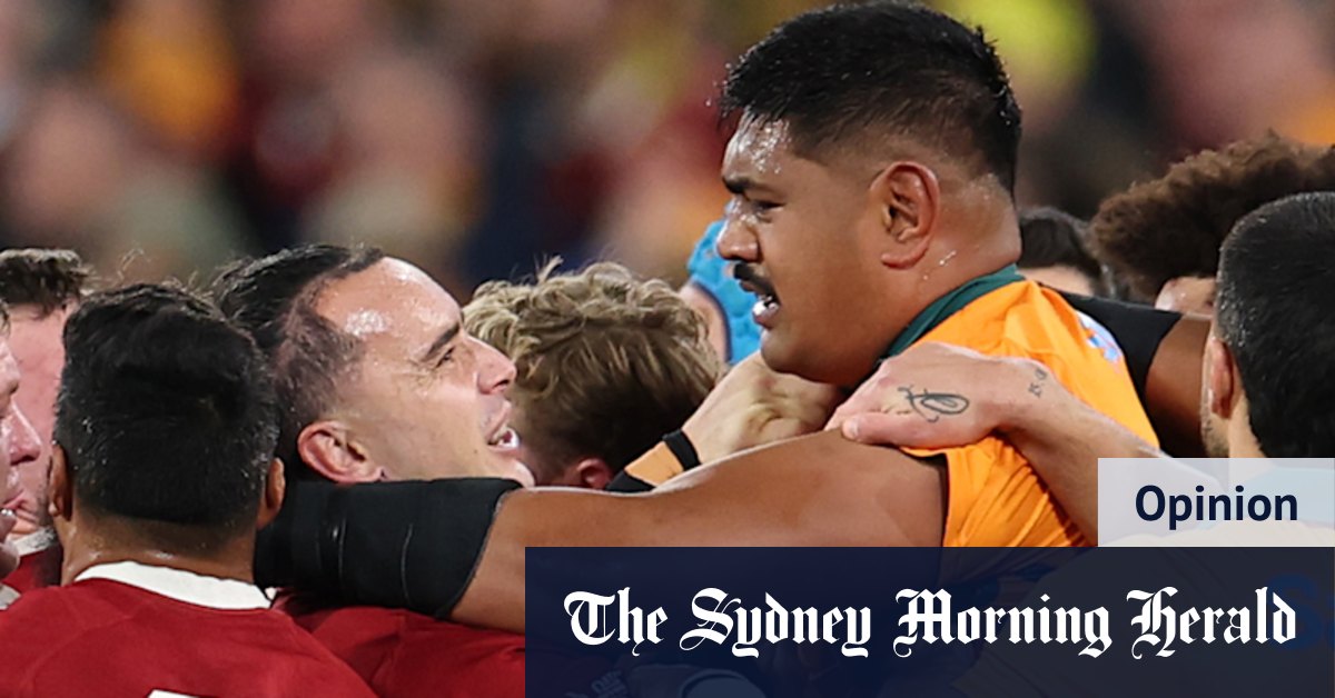 Wallabies gagne sur le côté droit de la violence