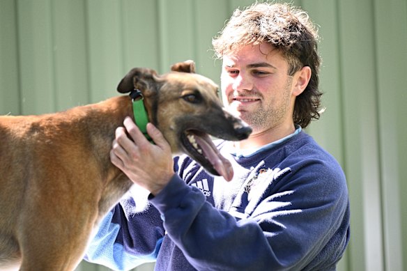 Nick Watson de Hawthorn est avec un ami à quatre pattes ici, mais ce sont les Bulldogs occidentaux qui pourraient usurper les Hawks dans les huit premiers.