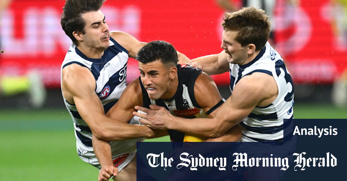 Collingwood Magpies, Brisbane Lions, Geelong Cats, Gold Coast Suns, Adelaide Crows in Hunt for Top-Four Finish