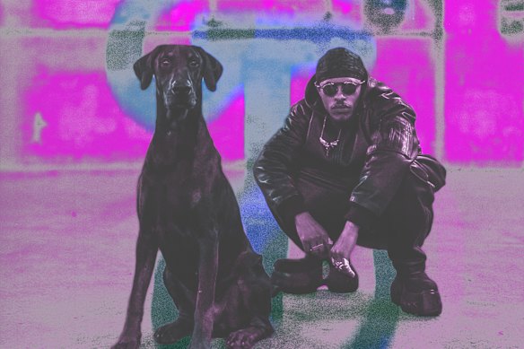 Siifu rose.