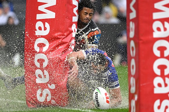 Splish Splash: Les chiens ont perdu les trois matchs sur une surface de jeu marécageuse.