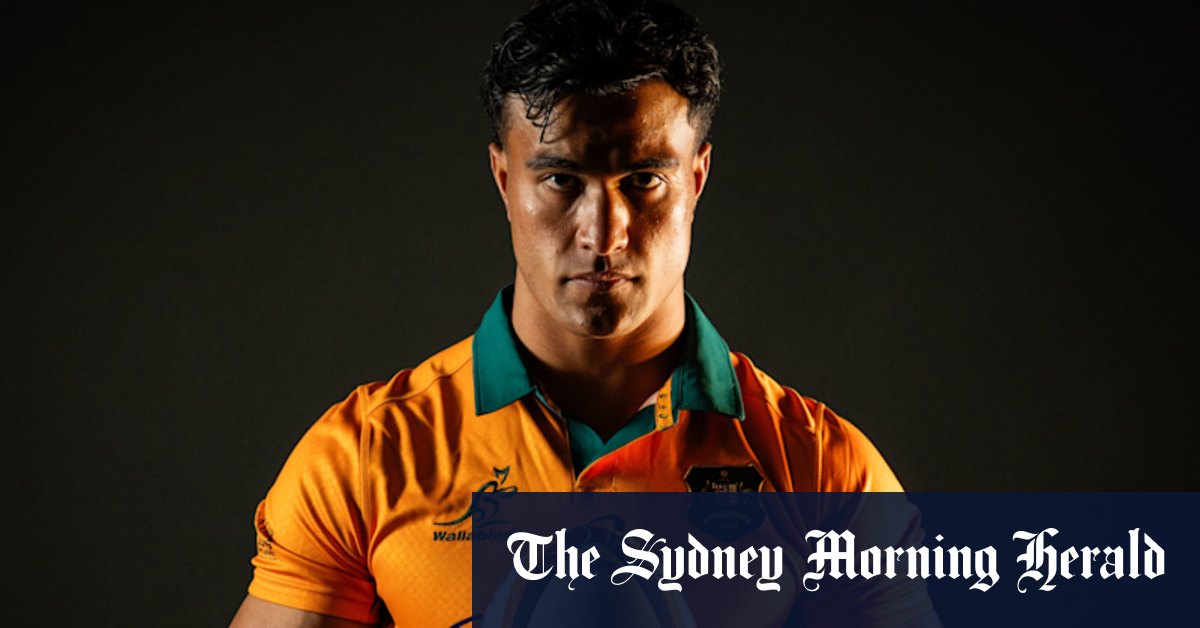 Wallabies Path to the 2027 Rugby Union World Cup