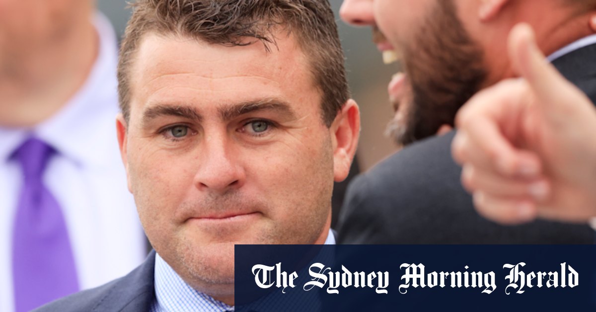 Bush Galloper s'est mis à passer la marque de Tom Melbourne