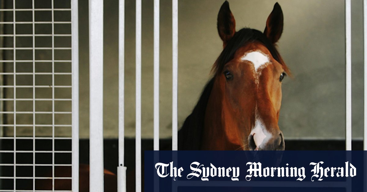 Aperçu de course par course et conseils pour Hawkesbury mardi