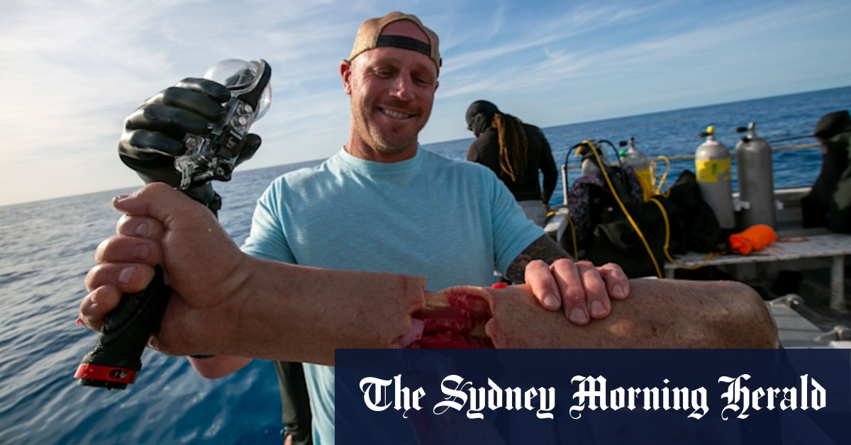 Paul de Gelder a survécu à une attaque de requin. Maintenant il veut une autre bouchée