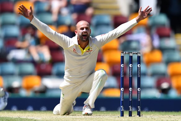 Nathan Lyon au Gabba en 2017.
