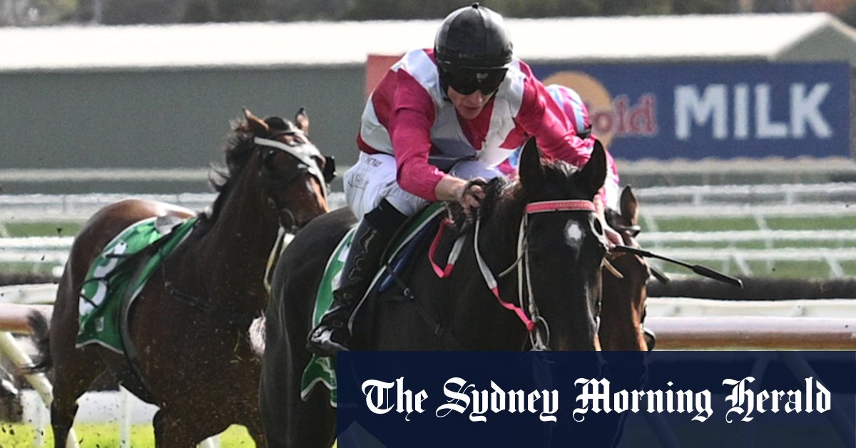 Jockey Will Gordon a condamné à une amende de 2500 $ par le Victorian Racing Tribunal pour avoir acheté un cheval pour la fille de Darren Weir Taige Weir