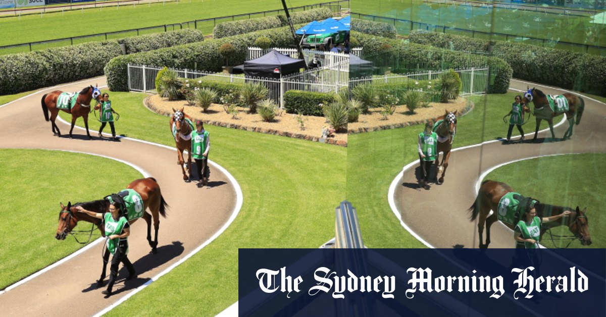Aperçu de course par course et conseils pour la réunion du jeudi à Newcastle