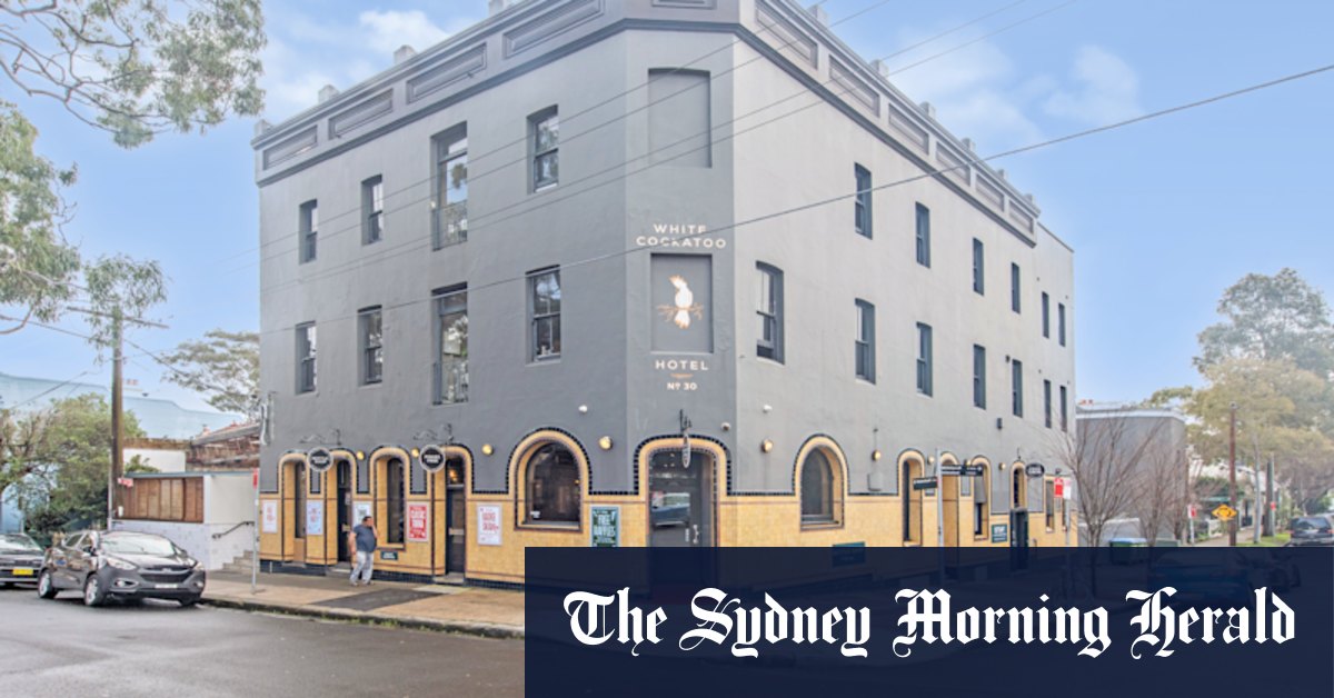 Pub de cacatoo blanc à vendre avec Georgie le cacato