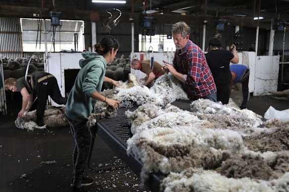 L'économie dépendait autrefois de la laine qu'elle a été dit «l'Australie roule sur le dos des moutons».