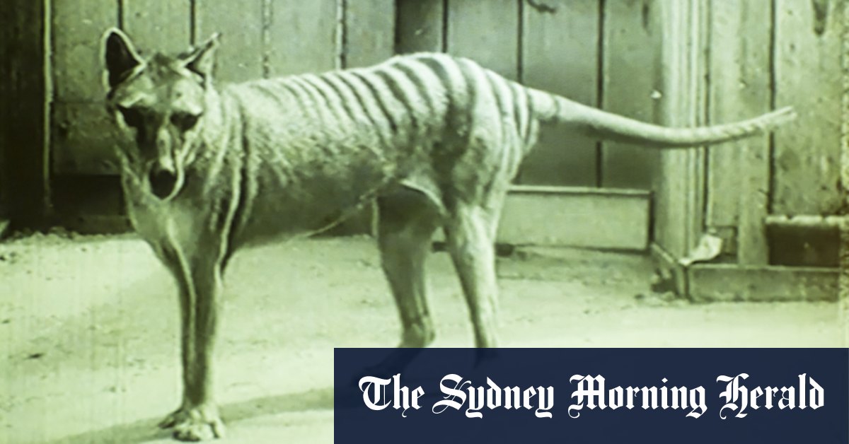 Ces portraits personnels d'espèces éteintes peuvent bien vous faire pleurer