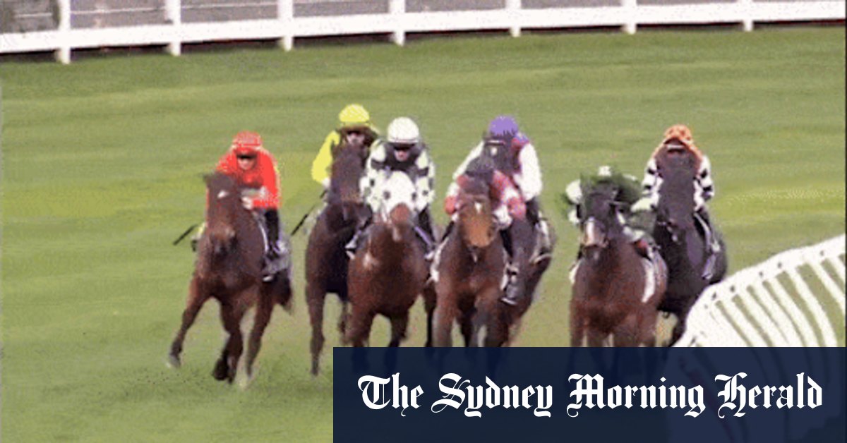 Sonde de paris autour de la victoire bizarre du mari et de la femme Jockey