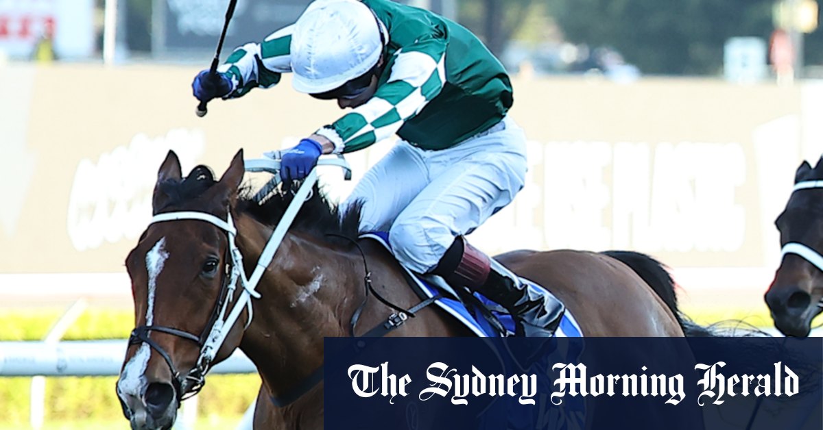 Chris Waller redonne via Sistina pour gérer le défi lourd dans Winx Stakes Defense