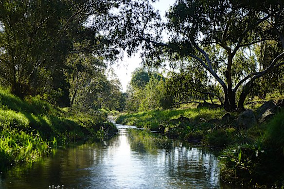 Trail Kororoit Creek.