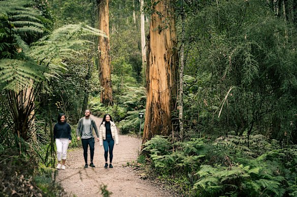 Kokoda Memorial Walk.