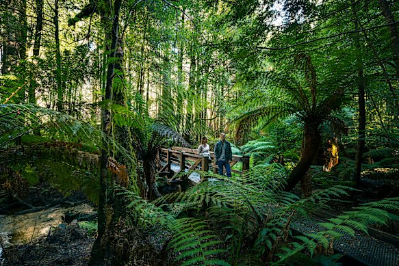 Cambarville Cumberland Circuit Walk.