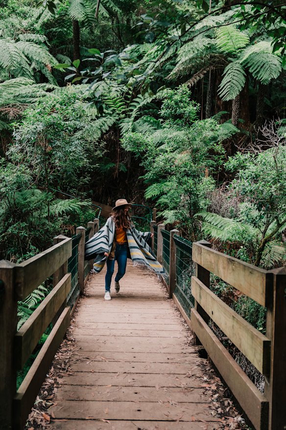 Sherbrooke Falls Loop.
