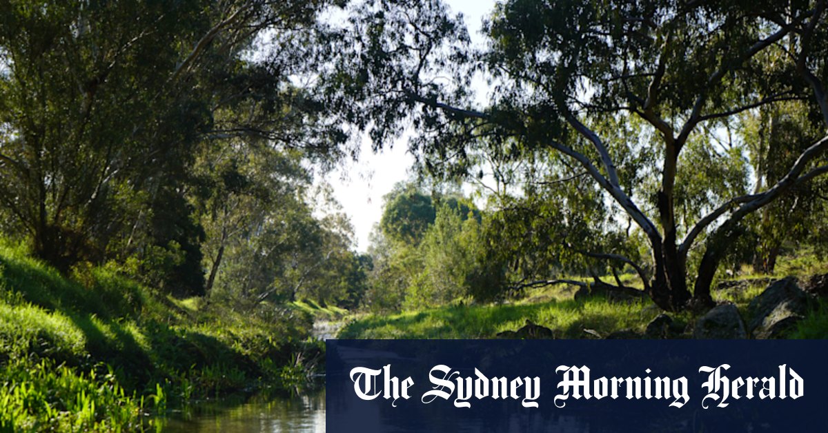 Des sentiers de la ville aux randonnées de Dandenong Ranges