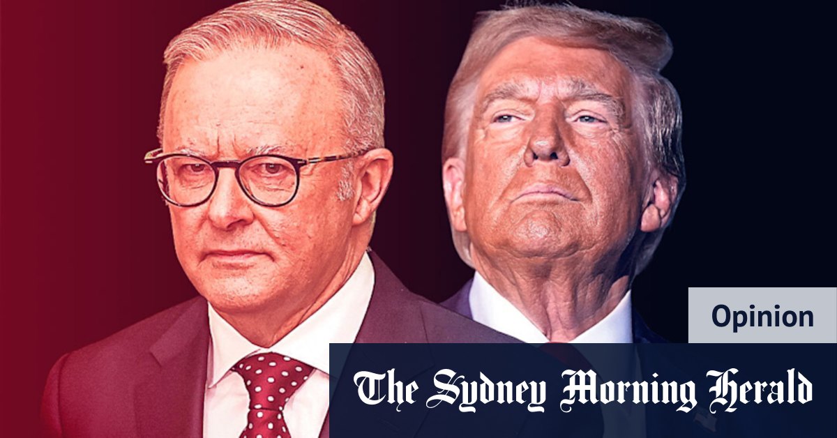 Maison Blanche? On dirait qu'Anthony Albanese dans la niche de Donald Trump