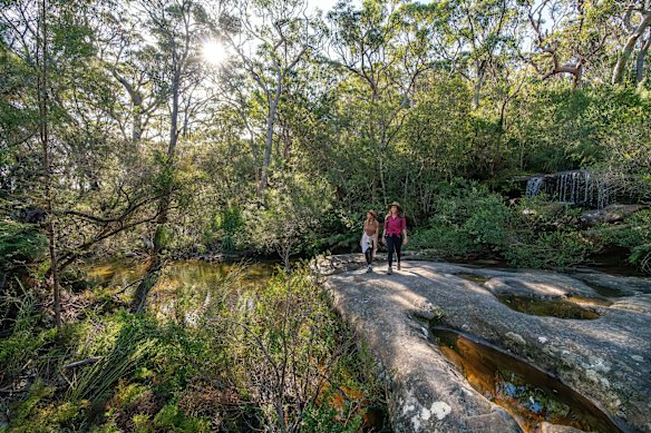 Parc national de Ku-Ring-Gai Chase.