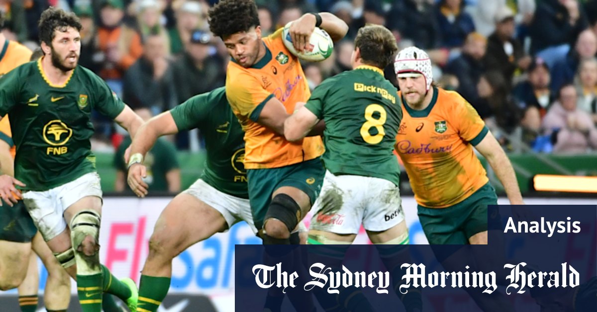 Les Wallabies sont sur une planète différente pour l'année dernière. À côté de 2023, c'est une nouvelle galaxie