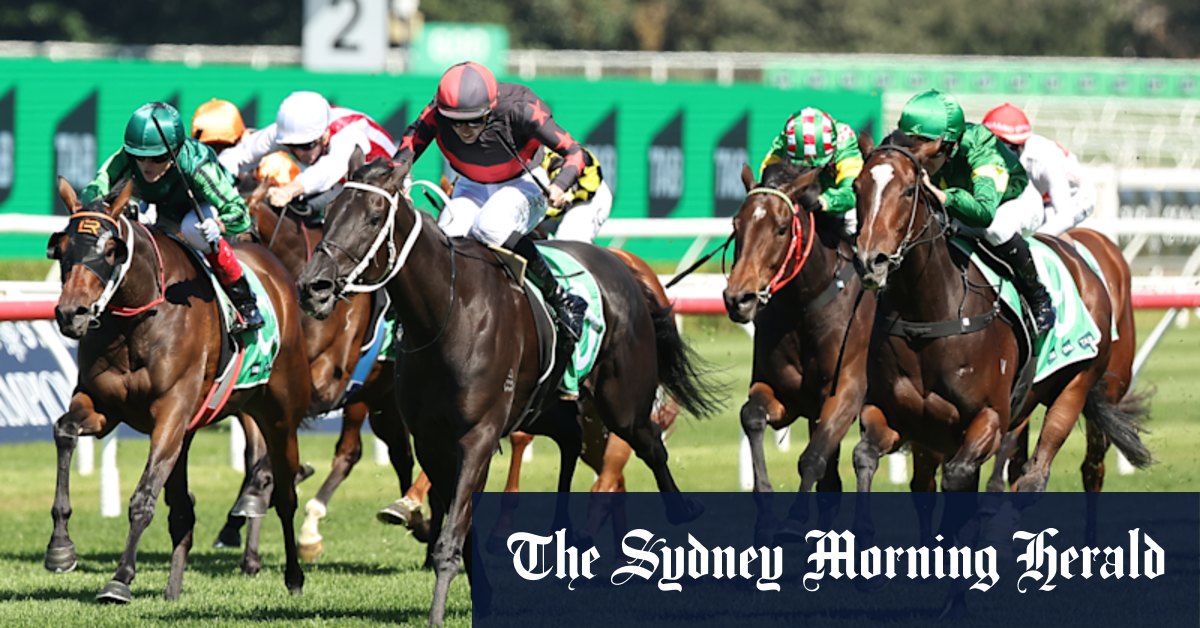 Audition Kosciuszko pour Bodhi Boy