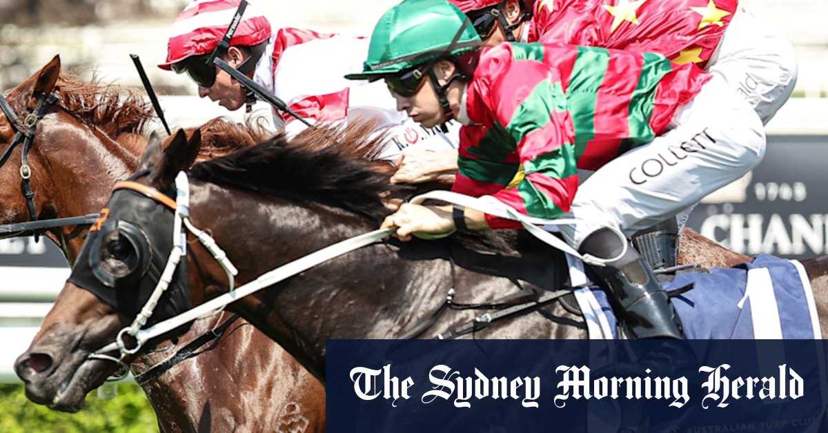 Aperçu de course par course et conseils pour la réunion de samedi à Rosehill