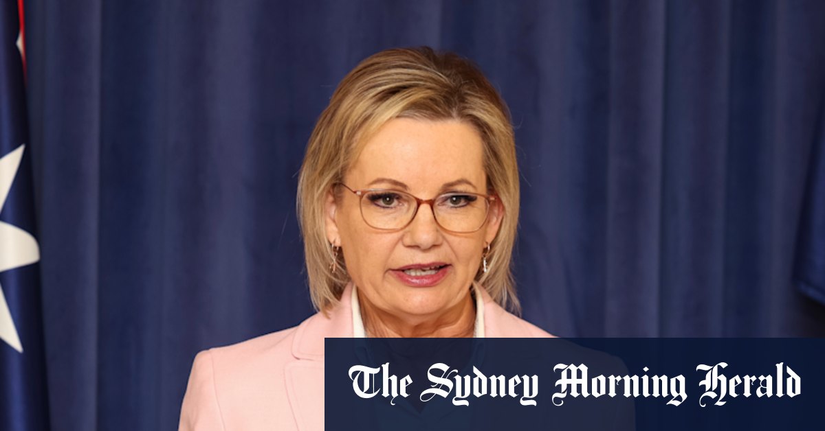 Sussan Ley appelle au calme avant la marche anti-immigration en disant que l'Australie «appartient à nous tous»