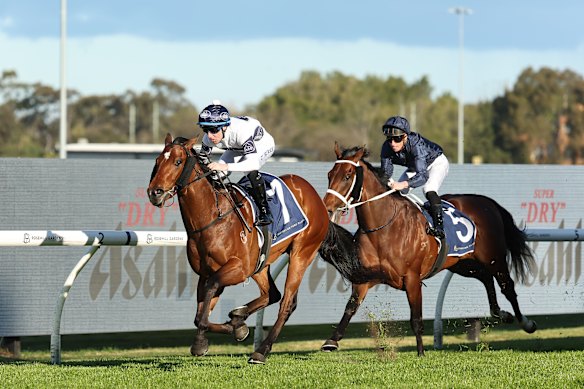 Tommy Berry prend une force qui fait rage à la victoire dans les enjeux de San Domenico.