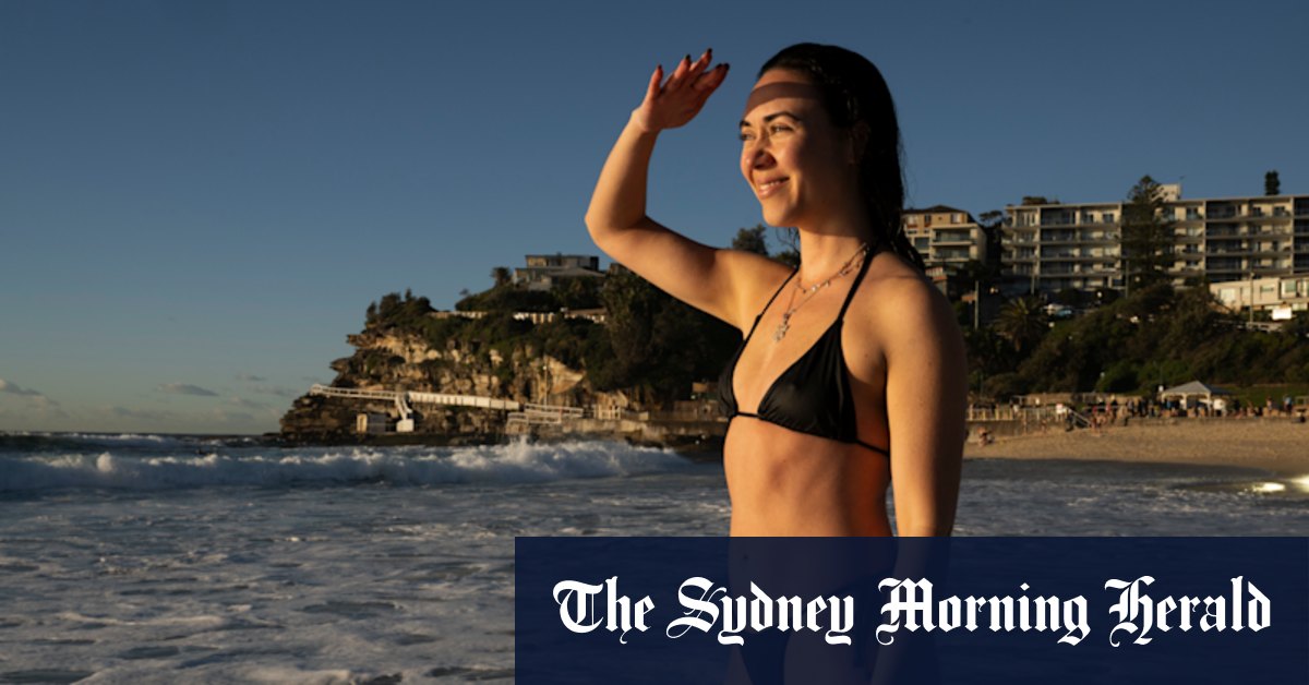 Les filets de requin à retirer de trois plages de Sydney dans un essai controversé