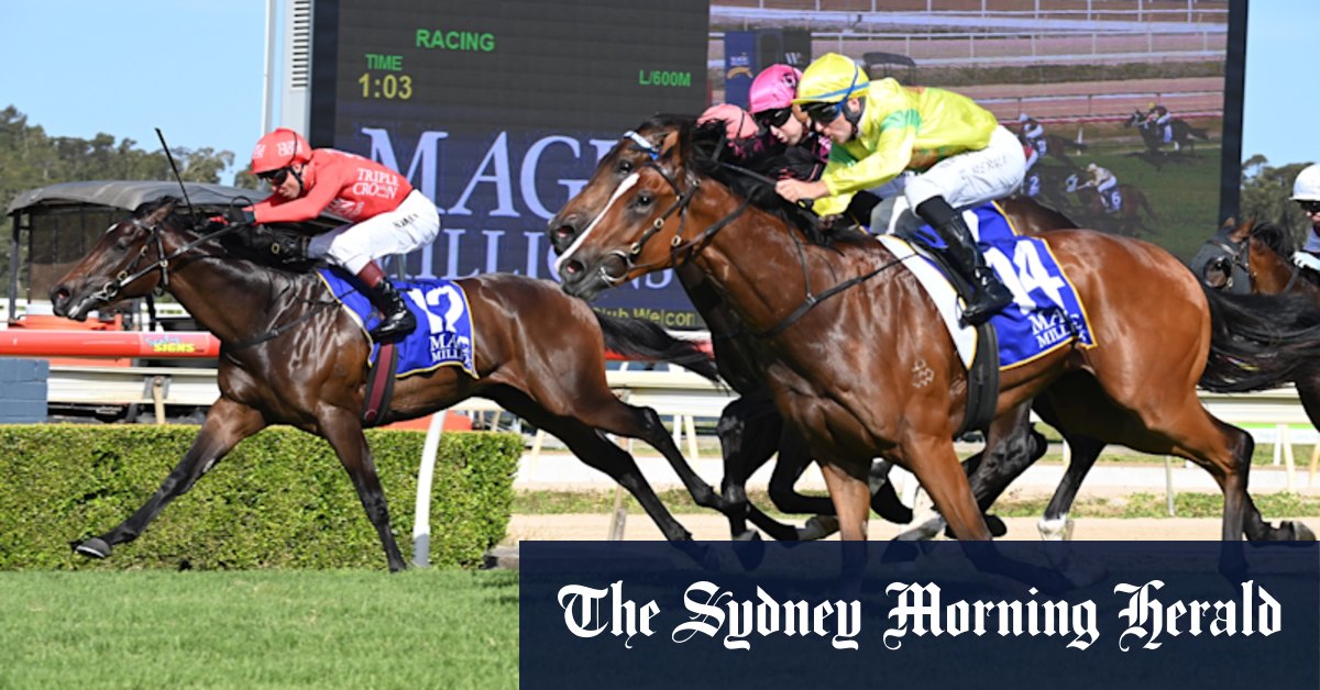 Conseils et aperçus pour la réunion de dimanche à Wyong