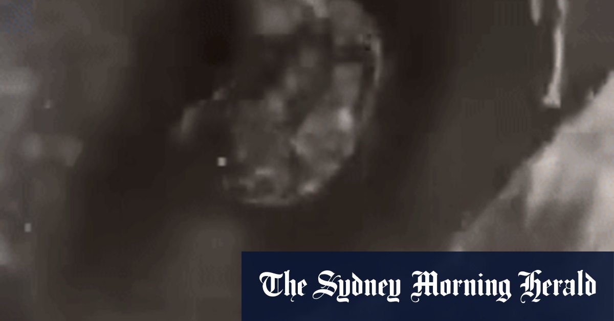 La star de Brisbane Broncos Reece Walsh boit de ses propres toilettes inutilisées dans la dernière vidéo en ligne en ligne