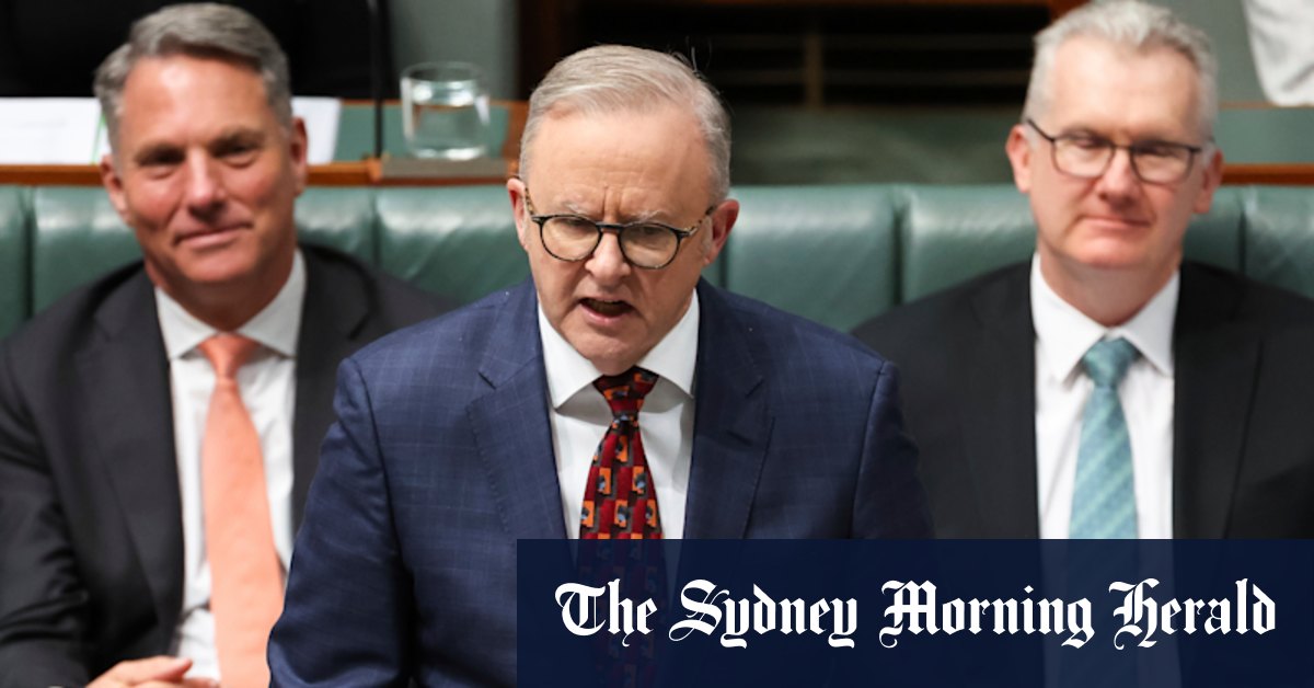 Albanese dit que les «bonnes personnes» ont assisté aux rassemblements exploités par les néonazis