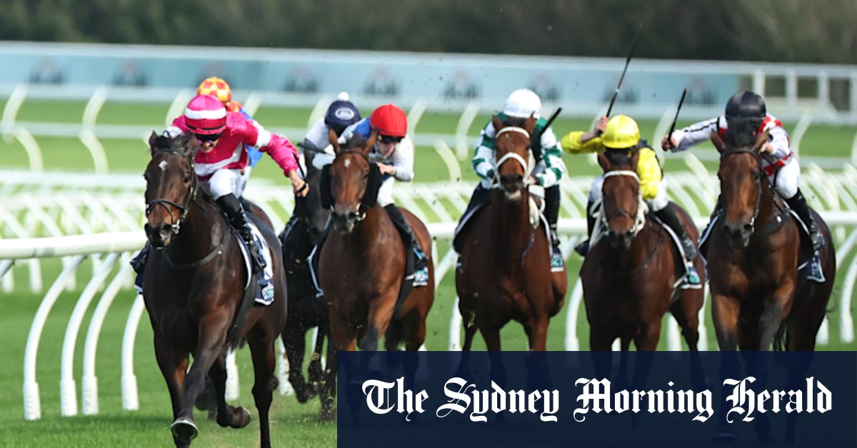 Aperçu de course par course et conseils pour Coffs Harbour jeudi