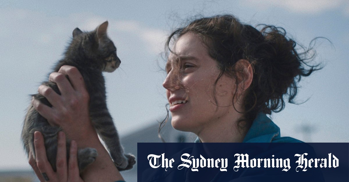 Ce film a commencé une guerre d'enchères à Sundance. Je peux voir pourquoi