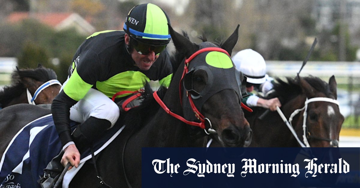 Aperçu de course par course et conseils pour la réunion de samedi à Randwick