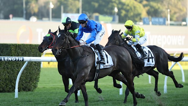 Josh Parr remporte Périclès à Randwick.