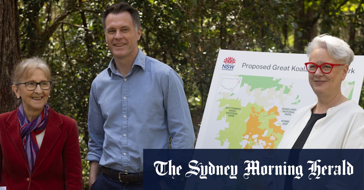 Trois raisons pour lesquelles Minns a soutenu le grand parc national de Koala