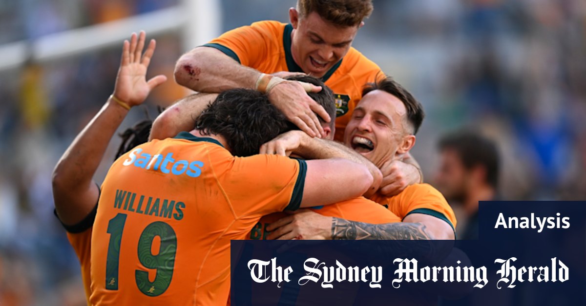 Comment les wallabies sont résumés par un banger classique des années 1980