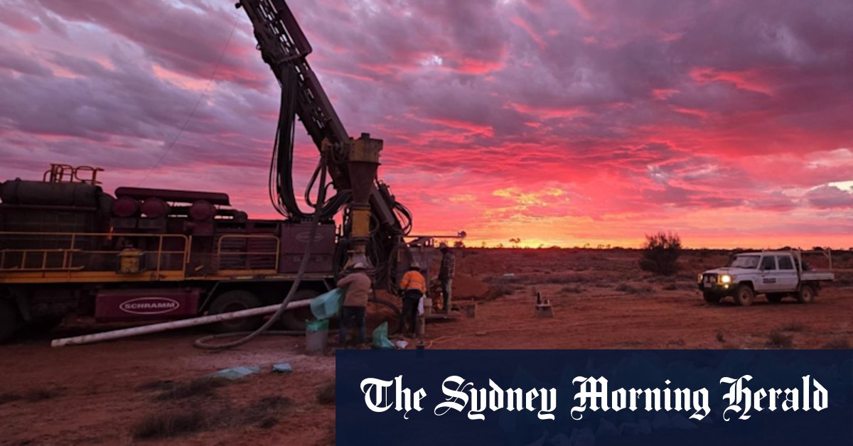 MARMOTA Nails épais, Gold de haute qualité dans Maiden SA Drill Program