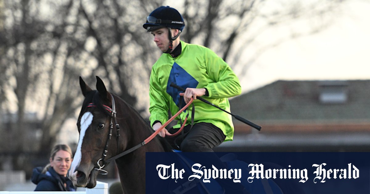 Tom Prebble souffre d'une blessure à la colonne vertébrale après que Pulverir a frappé les talons dans la course