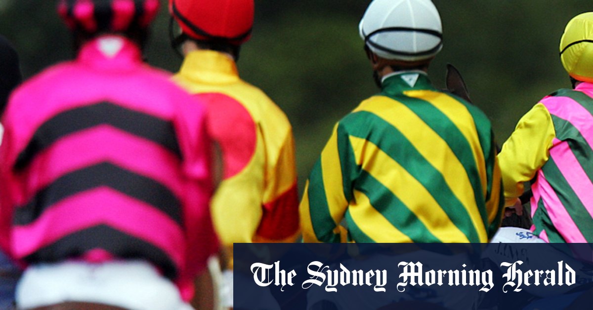 Chandler chassant des efforts répétés avec la pouliche à la réunion de Muswellbrook