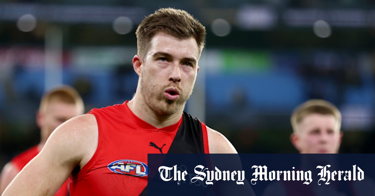 Les démons de Melbourne demandent à Premiership Defender d'explorer les options; Chris Scott s'excuse pour l'incident