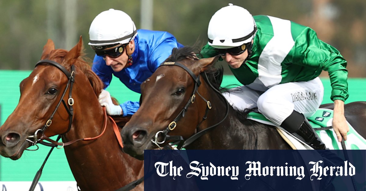 Michael Freedman s'en tient au chemin du patient avec Golden Slipper Winner Marhoona malgré l'attrait de la conquête de l'Everest