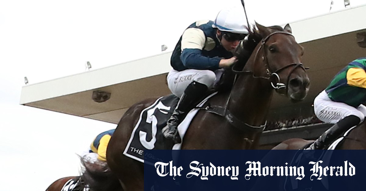 Aperçu de course par course et conseils pour la réunion du samedi à Randwick