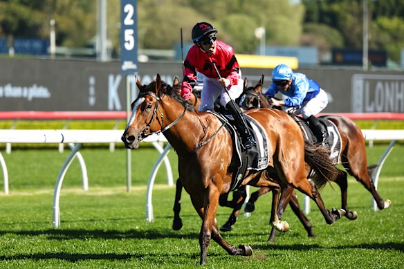 Tommy Berry et apocalyptique se sont bien combinés à Randwick.