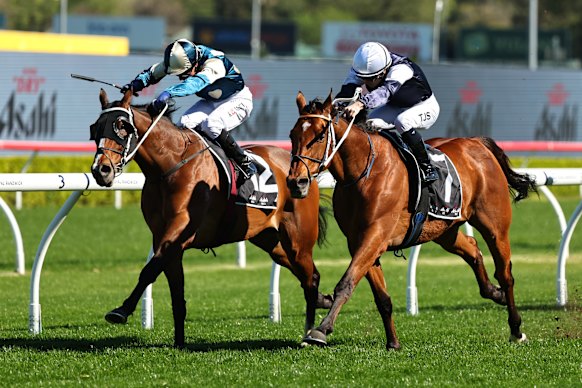 Kerrin McEvoy et Birdman en action à Randwick.